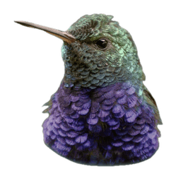 Swiftscope